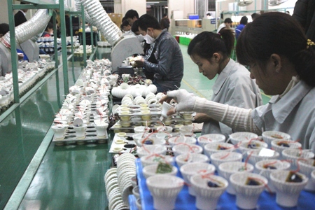 Dây chuyền sản xuất đèn Led tại Công ty CP Bóng đèn phích nước Rạng Đông. Nguồn: RD.
